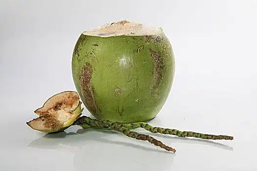 新鲜椰子图片_新鲜椰子图片大全_新鲜椰子图片下载