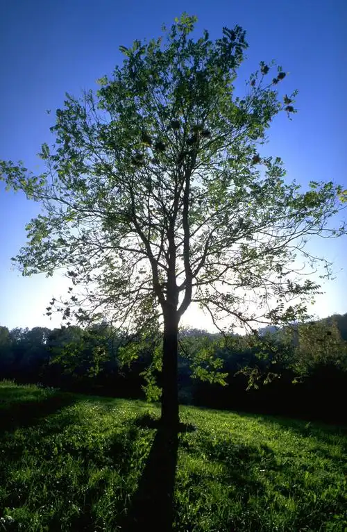 网|ps教程|psd模板|照片处理|ps素材|背景图片|字体下载|ps笔刷下载]