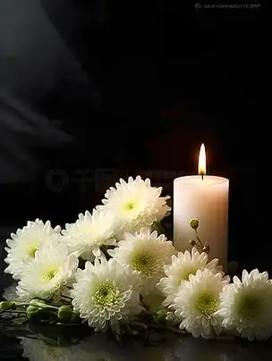 美丽的悼念白菊花和蜡烛摄影图