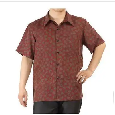 中老年 真丝香云纱男衬衫 莨绸男式短袖上衣 休闲夏装6009-2多色