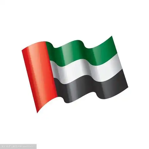 阿拉伯联合酋长国国旗,矢量插图在白色的背景