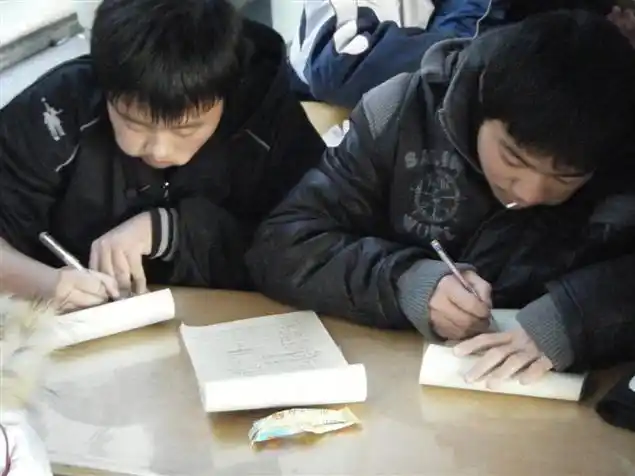 认真抄作业的孩子.