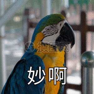 妙啊聊天表情包gifgif动图