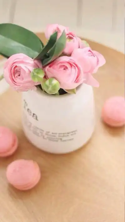 鲜花 清新 摄影 田园 绿色 自然 淡雅 风景名胜 壁纸 素材 锁屏 屏保