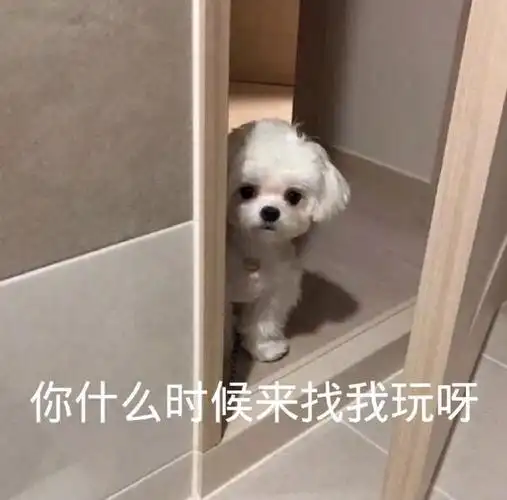 搞笑表情包|见鬼 难道这帮人都不用搬砖了吗?