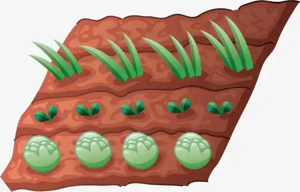 关键词 : 矢量图,卡通手绘,水彩,绿色,植物,树木,装饰,蔬菜[声明] 觅