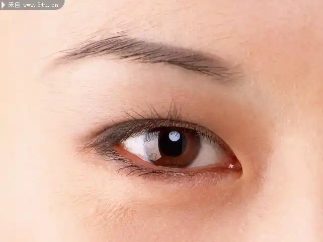 眼睛特写图片