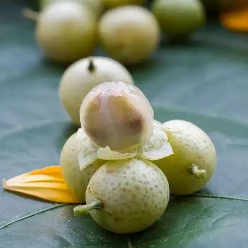 不要质疑一个吃饺子不蘸醋的南宁人