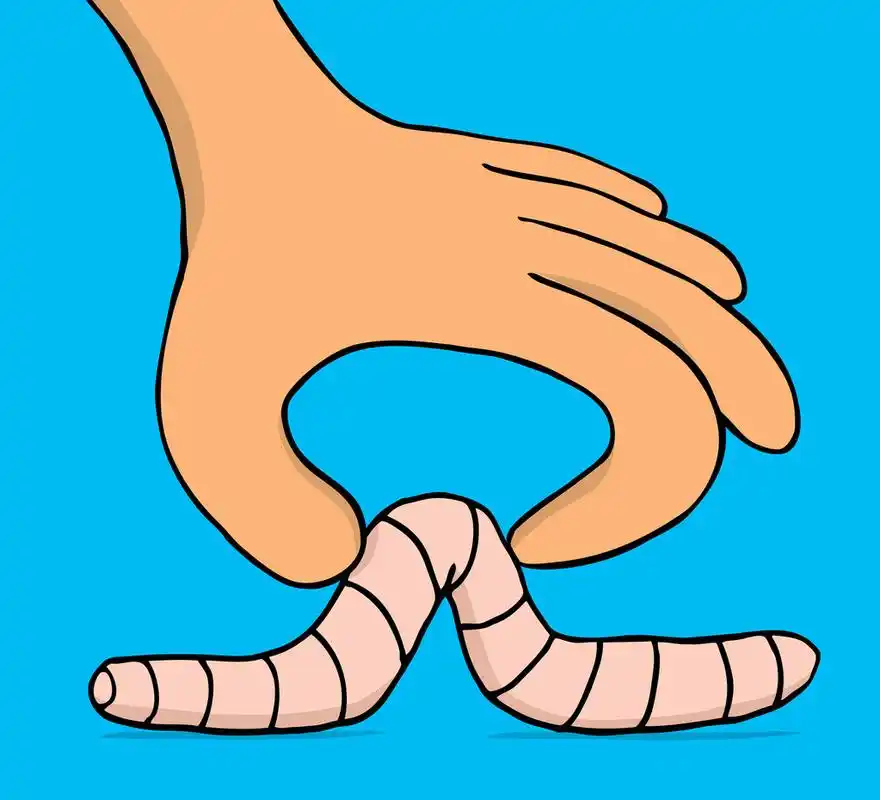 抓小虫子,人类的手抓小虫饵