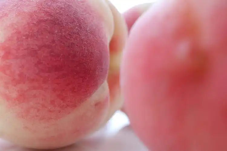 桃子水蜜桃粉色蜜桃水果