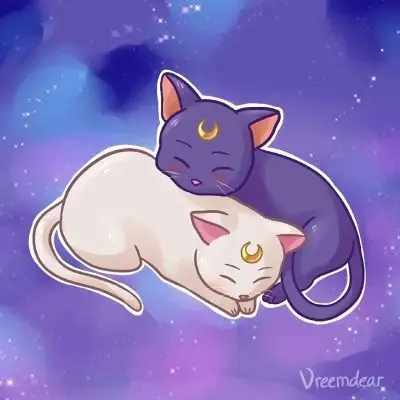 美少女战士头像一起玩枕头大战呀