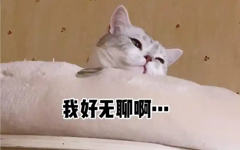 活动作品假期宅在家的我真的好无聊啊