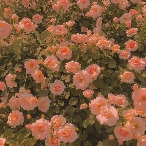 唯美治愈系背景图_唯美图片_我要个性网