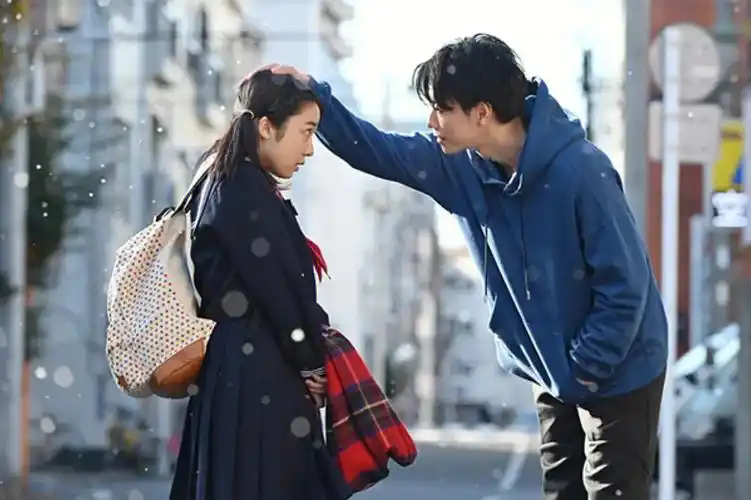 太太太太太太太甜了超甜日剧入股不亏