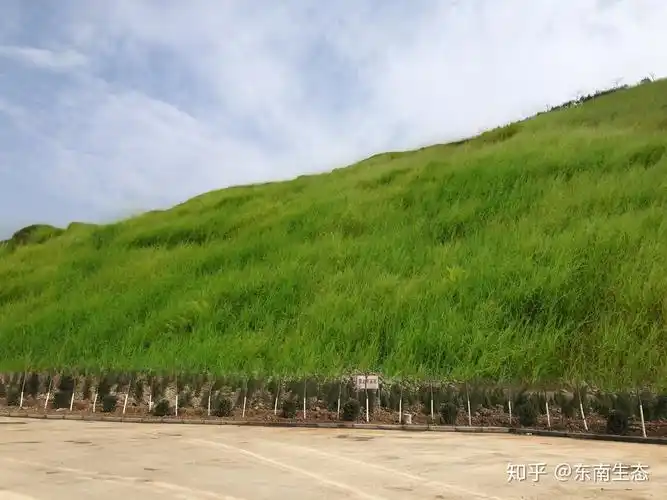 简述边坡及边坡的分类