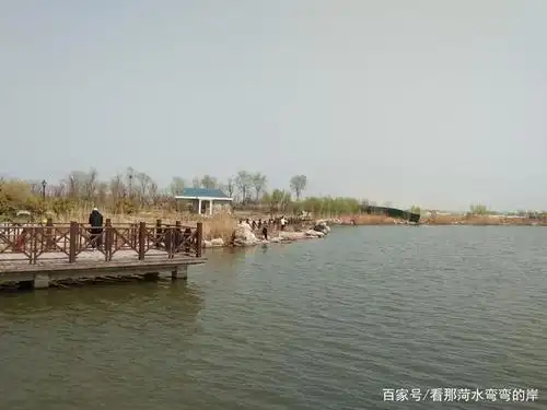 菏泽曹县八里湾风景区真有熊掌和鱼都能兼得的好事