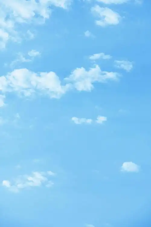 蓝蓝的天空中,隐藏了几朵棉花似的小白云.