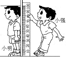 估计小强身高( )cm. 题目和参考答案——青夏教育精英家教网