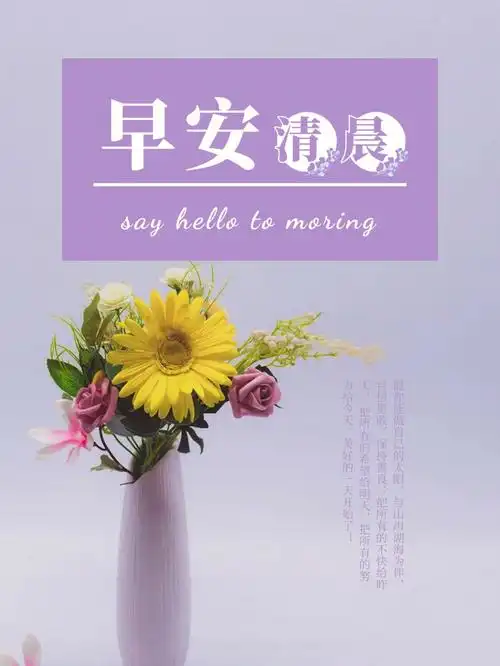 早安清晨鲜花日签朋友圈手机海报四