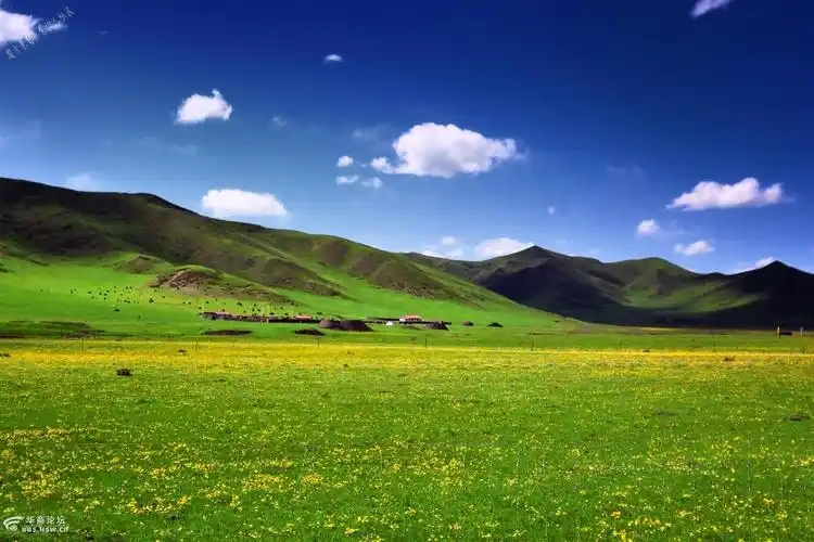 呼伦贝尔大草原 最美阿尔山8天8夜深度南北自助游