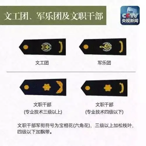 2018部队文职人员肩章:如何看懂肩章识军衔(图解)