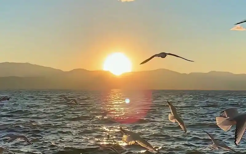 超好看的全屏高清壁纸,唯美治愈系第2期