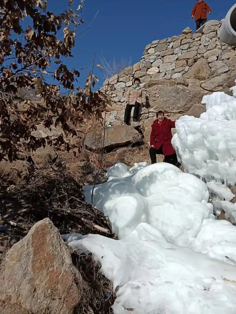 主伴我走四季歌曲 - 抖音