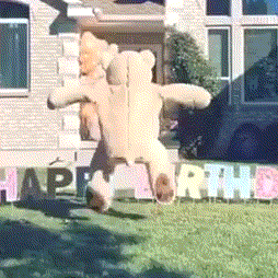 魔性跳舞小熊合集_表情