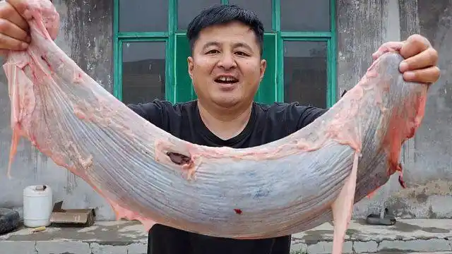 10元买了一根牛连体,看起来像大舌头,吃起来像烂泥,软软糯糯的