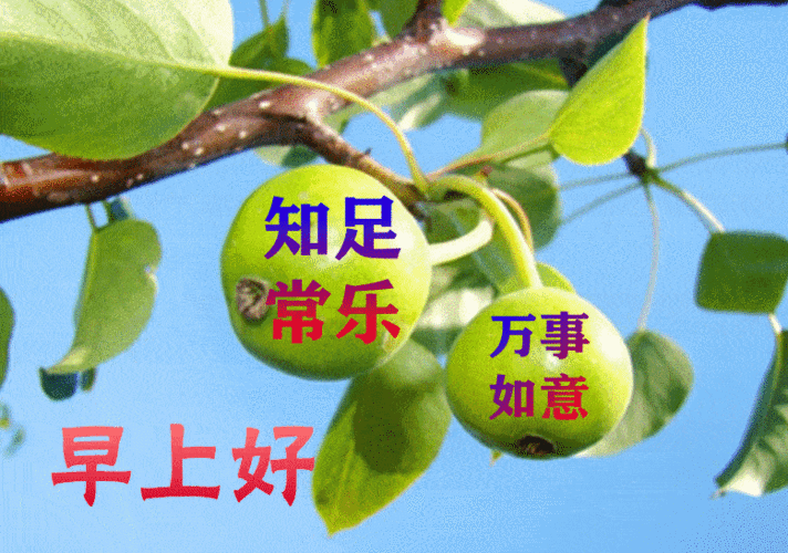 最漂亮早上好动态表情图片大全早晨好动图美图大全