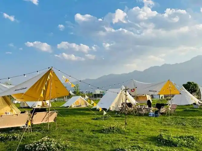 东子,大理州文化和旅游局,猫米花园,水花庄园,陶然田社,花语牧场,云海