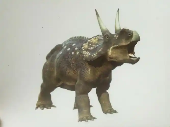 三角龙――头上有三只角