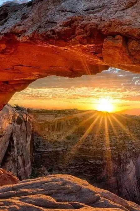 光芒万丈的,只有太阳