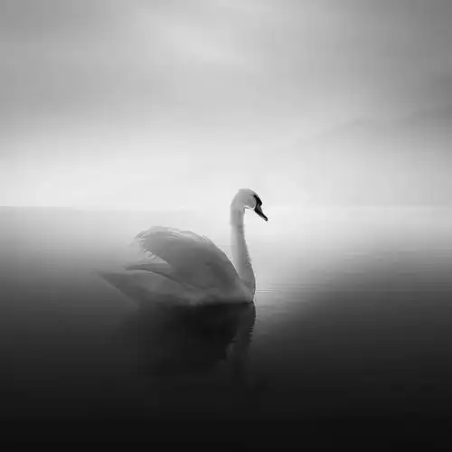 三个摄影师的极简 黑白摄影,你更爱哪一个?