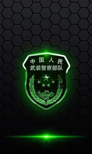 拥军自取各大部队臂章