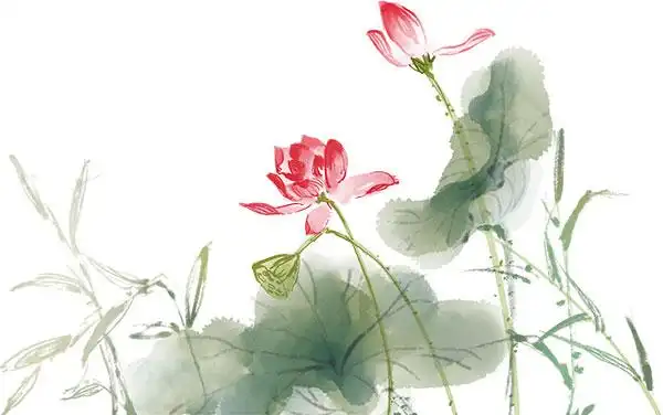 绘画艺术所需点数:0点水墨荷花,夏季,荷花,夏天,1434*899px,png下载