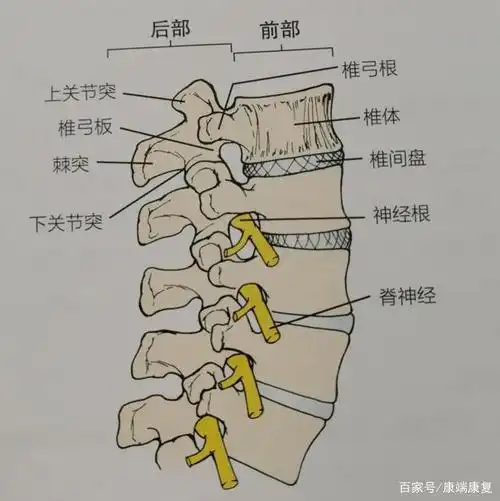 颈,腰,膝,足痛,盘点骨质增生症的4大高发部位及应对方法