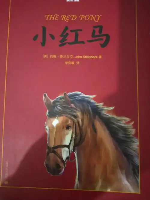 《小红马》读后感