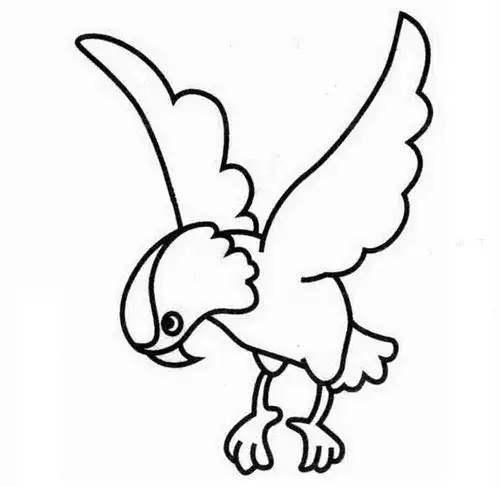 黑白简笔画鹰简笔画教程肉食绘画简笔画教程文化绘画飞翔的雄鹰简笔画