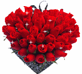 玫瑰花图片大全_玫瑰花图片高清大图