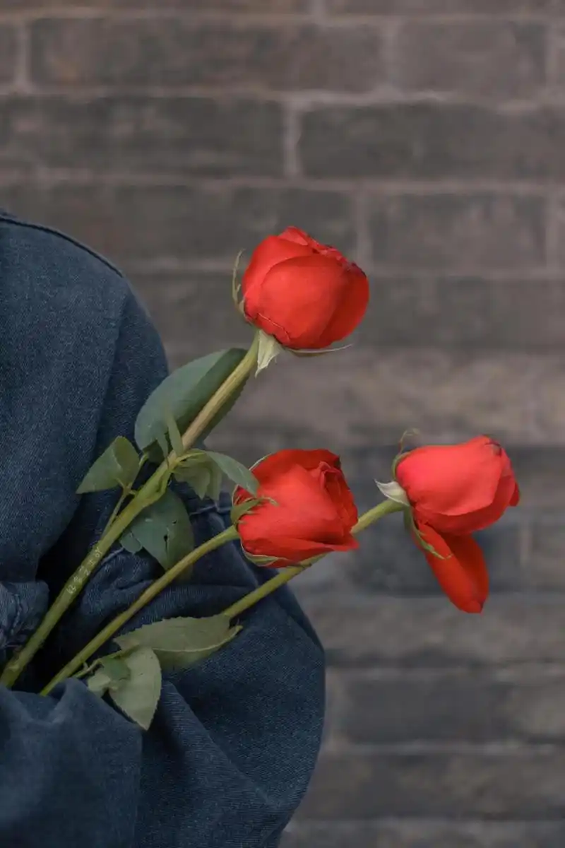 超现实的文案,干净大方,选一句发朋友圈!