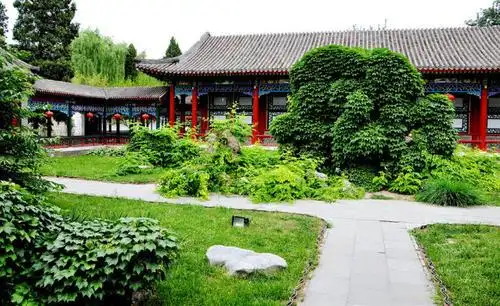 《红楼梦》蘅芜苑满地香草暗喻了薛宝钗和林黛玉有你没我的关系