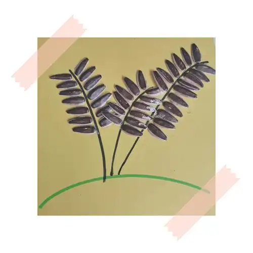 第3步:按上面的步骤(如图),把所有的瓜子依次粘在上面,作品马上就完成