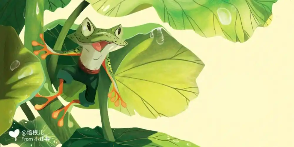 绘本收藏夹动物插画英雄青蛙