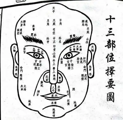 七张面相科普基础图,相学必备,值得收藏!