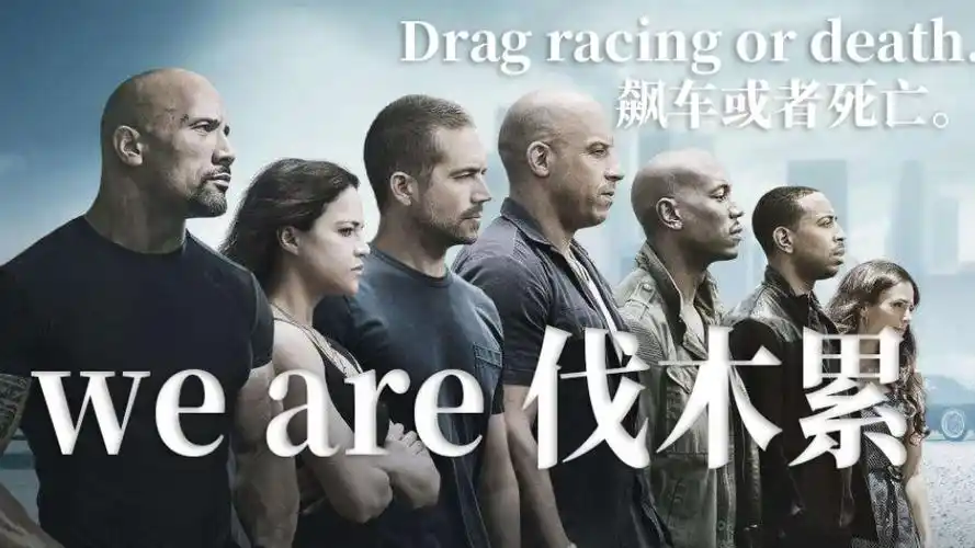 速度与激情weare伐木累