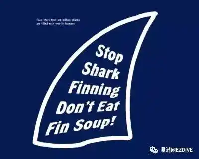 你不吃鱼翅不会死!但是你吃鱼翅,它们会死!