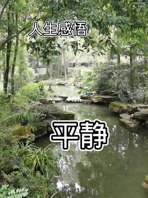 品味生活人生感悟情感语录唯美意境