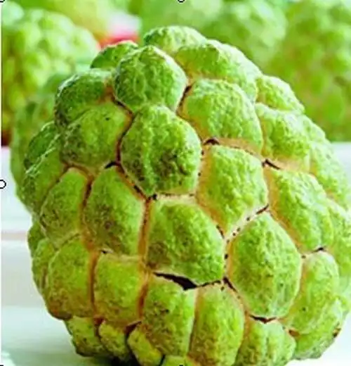 生鲜水果 其他生鲜水果 海南特产释迦22元一斤番荔枝佛头果肉白而甜