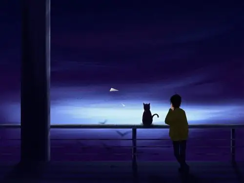 享受孤独 | 画画养猫 - 练习作品 - 涂鸦王国插画